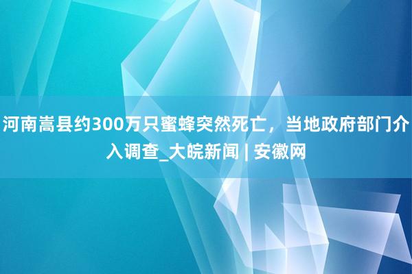 河南嵩县约300万只蜜蜂突然死亡，当地政府部门介入调查_大皖新闻 | 安徽网