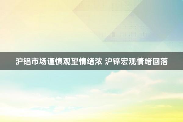 沪铝市场谨慎观望情绪浓 沪锌宏观情绪回落