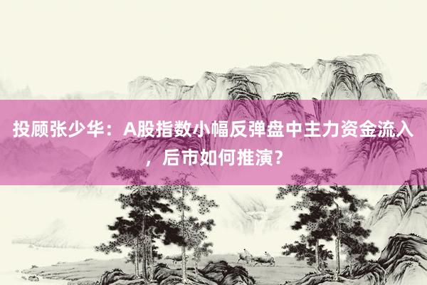 投顾张少华：A股指数小幅反弹盘中主力资金流入，后市如何推演？