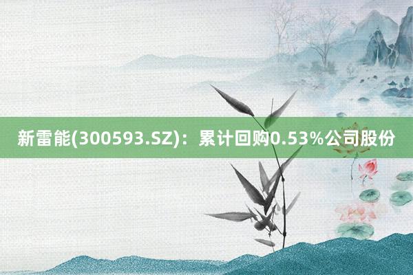 新雷能(300593.SZ)：累计回购0.53%公司股份