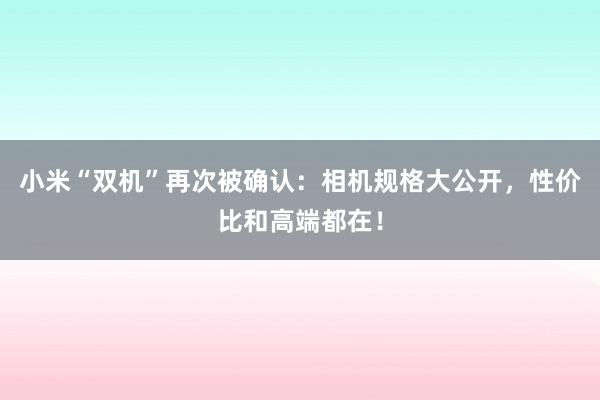 小米“双机”再次被确认：相机规格大公开，性价比和高端都在！