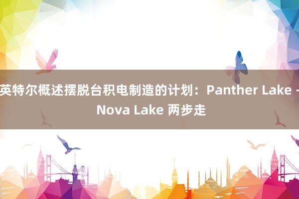 英特尔概述摆脱台积电制造的计划：Panther Lake - Nova Lake 两步走