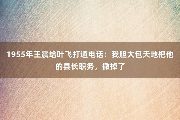 1955年王震给叶飞打通电话：我胆大包天地把他的县长职务，撤掉了