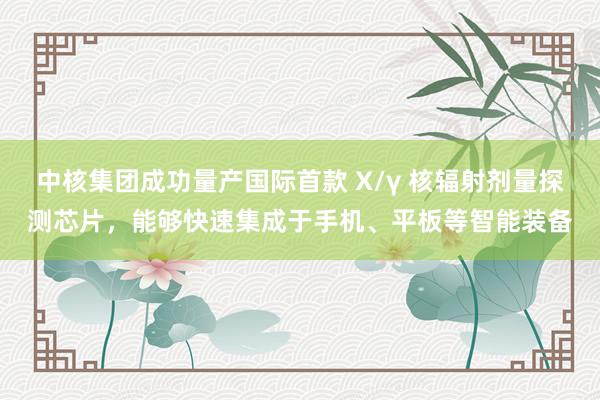 中核集团成功量产国际首款 X/γ 核辐射剂量探测芯片，能够快速集成于手机、平板等智能装备