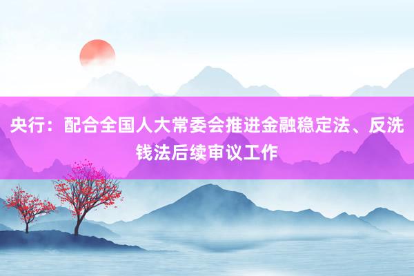 央行：配合全国人大常委会推进金融稳定法、反洗钱法后续审议工作