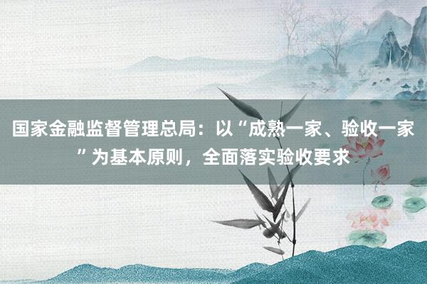 国家金融监督管理总局：以“成熟一家、验收一家”为基本原则，全面落实验收要求