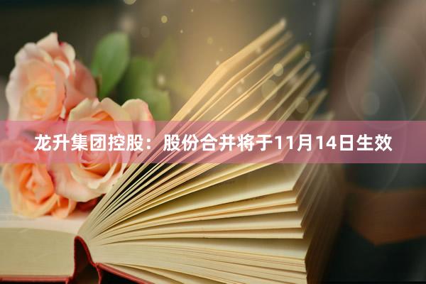 龙升集团控股：股份合并将于11月14日生效