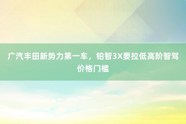 广汽丰田新势力第一车，铂智3X要拉低高阶智驾价格门槛