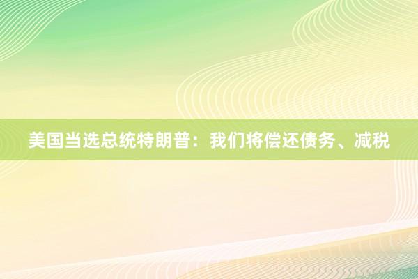 美国当选总统特朗普：我们将偿还债务、减税