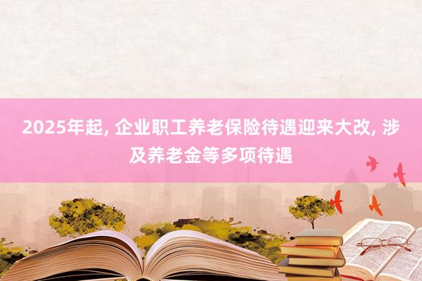 2025年起, 企业职工养老保险待遇迎来大改, 涉及养老金等多项待遇