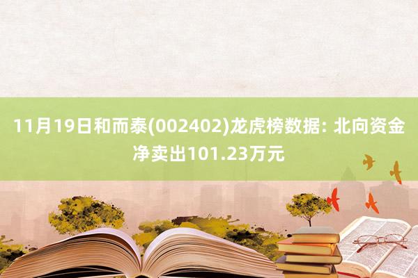 11月19日和而泰(002402)龙虎榜数据: 北向资金净卖出101.23万元