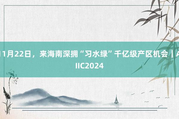 11月22日，来海南深拥“习水绿”千亿级产区机会｜AIIC2024