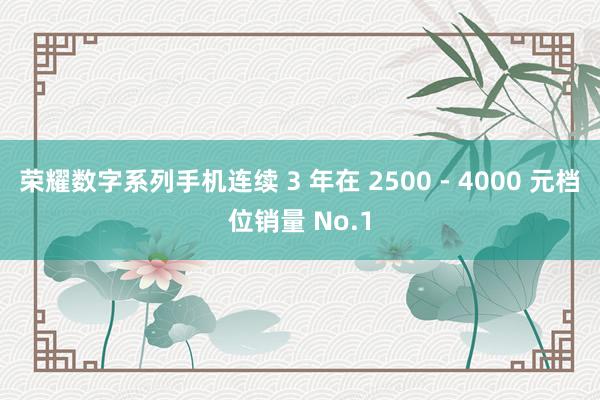 荣耀数字系列手机连续 3 年在 2500 - 4000 元档位销量 No.1