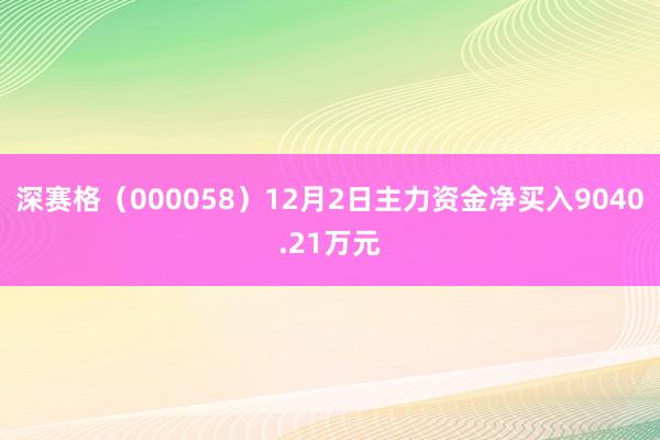 深赛格（000058）12月2日主力资金净买入9040.21万元