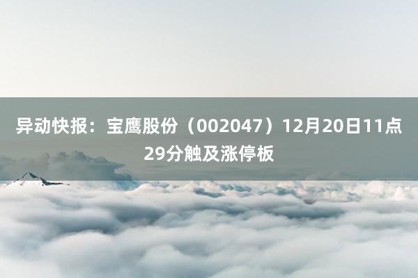 异动快报：宝鹰股份（002047）12月20日11点29分触及涨停板